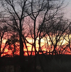 Meet your Posher, Gabby